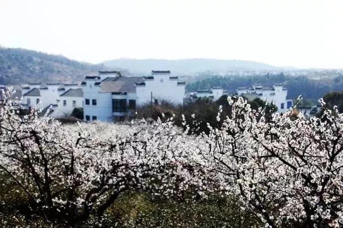 甜蜜糖果岛无敌版