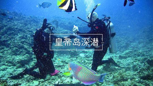 海产大王2中文版