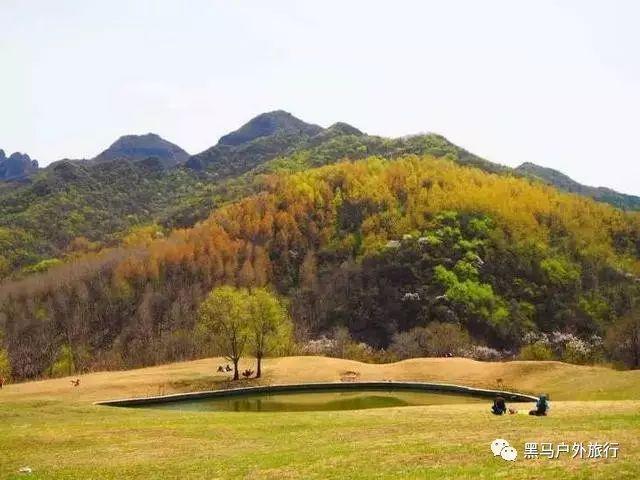 泰亚史诗